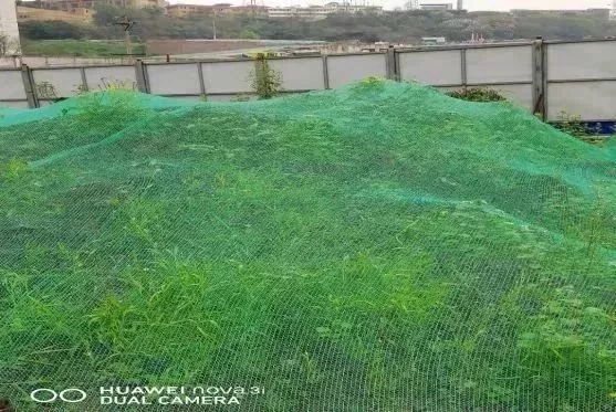 1621231755485828.jpg